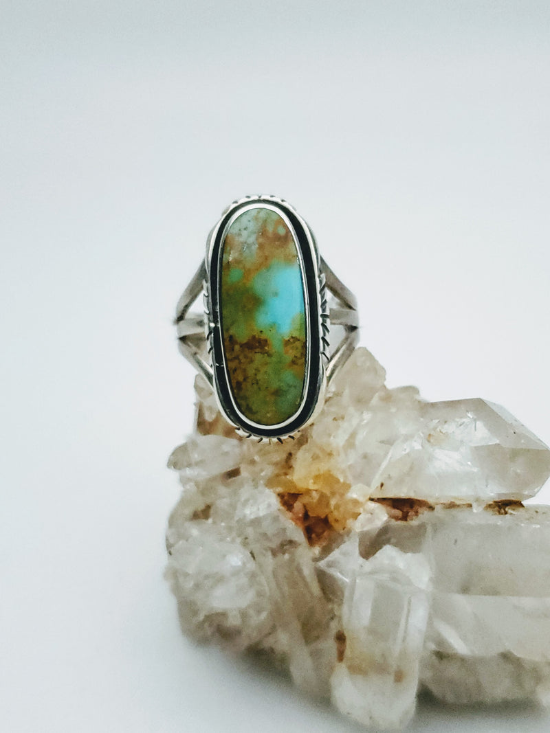 Turquoise Oval Oblong Ring
